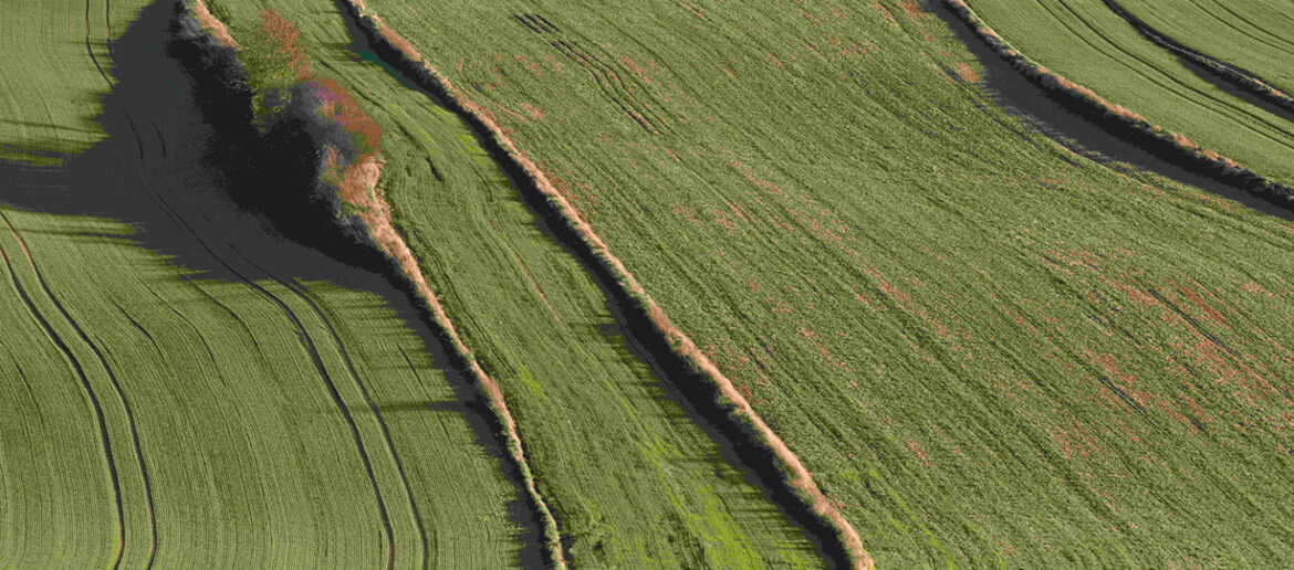„Roztoczańskie krajobrazy”  Janusza Kapeckiego