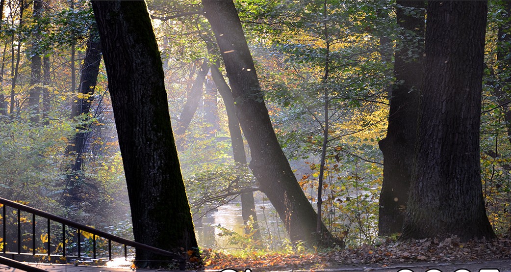 „Plenery – 2025” – zaproszenie na wystawę Zamojskiej Grupy Fotograficznej