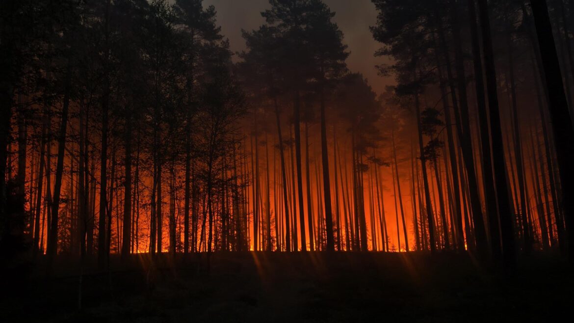 Pożar na Roztoczu