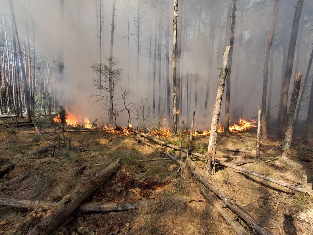 Pożar na Roztoczu