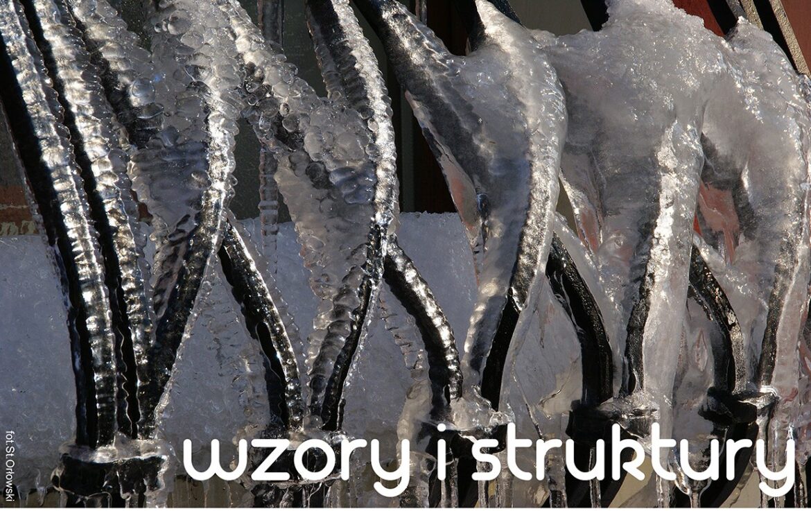 „Wzory i struktury” – wystawa Zamojskiej Grupy Fotograficznej Grupy Twórczej