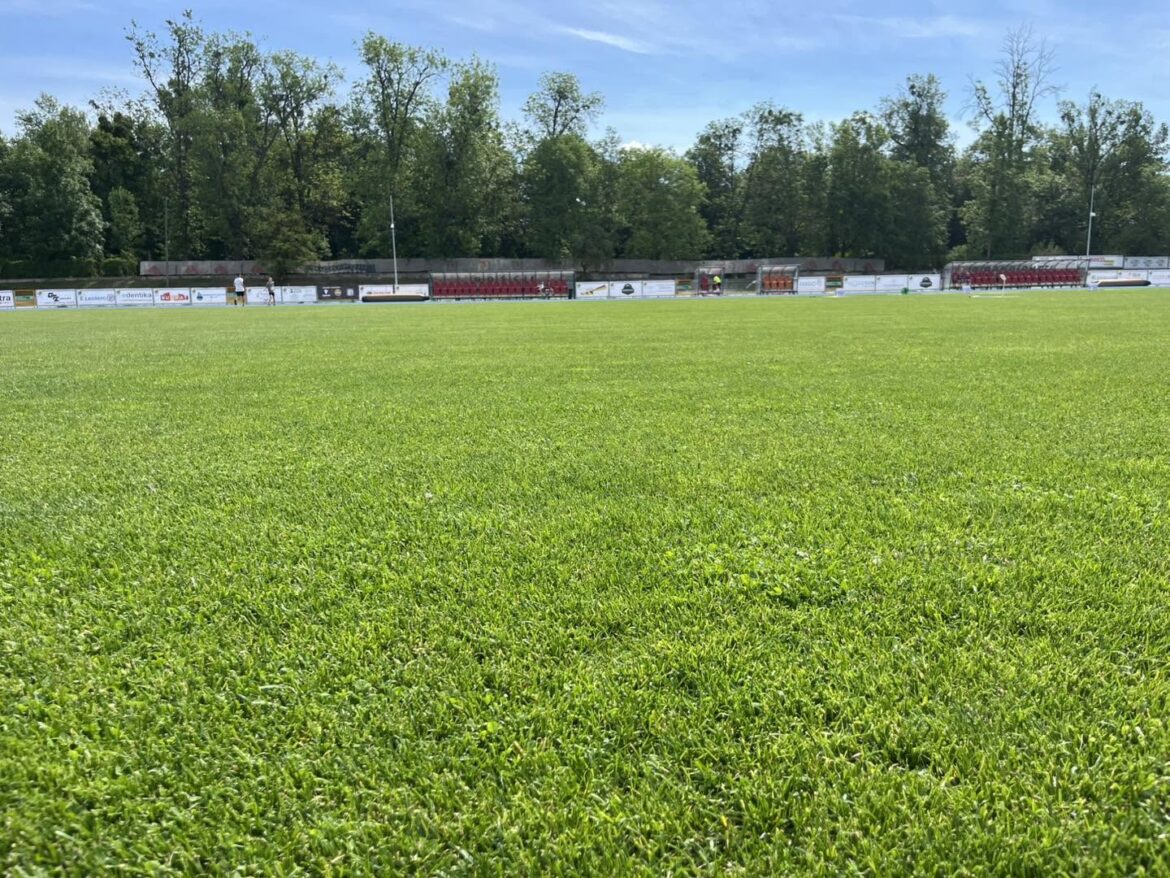 Zazieleni się wokół stadionu OSiR. Są pieniądze na unijny projekt