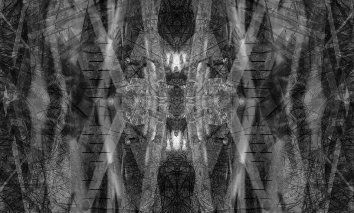 SOMA SHAPES w  Galerii „Ratusz”